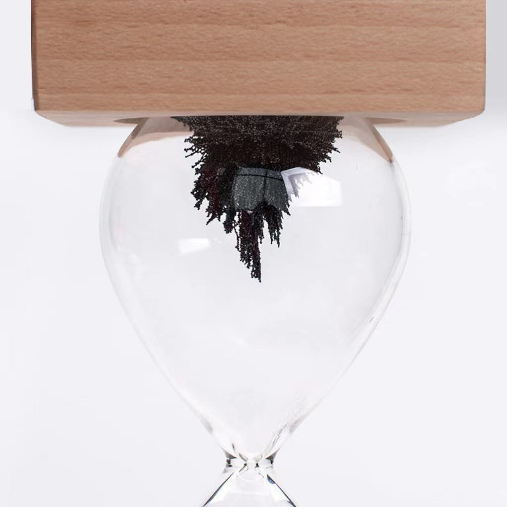 Science Fun Magnetic Hourglass Sands of Time Gift