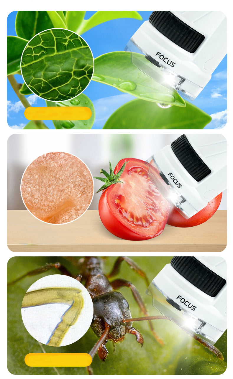 STEM Portable Microscope with 12 Prepared Slides for Kids and School Uses ( Random Colour )