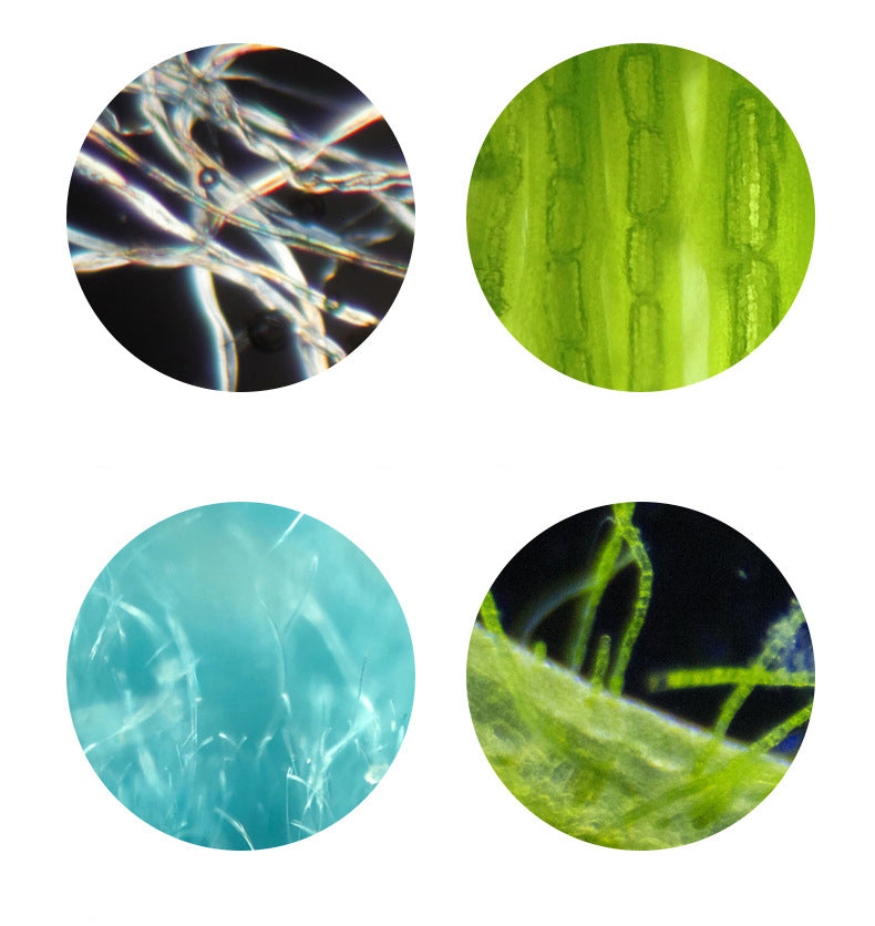 STEM Portable Microscope with 12 Prepared Slides for Kids and School Uses ( Random Colour )
