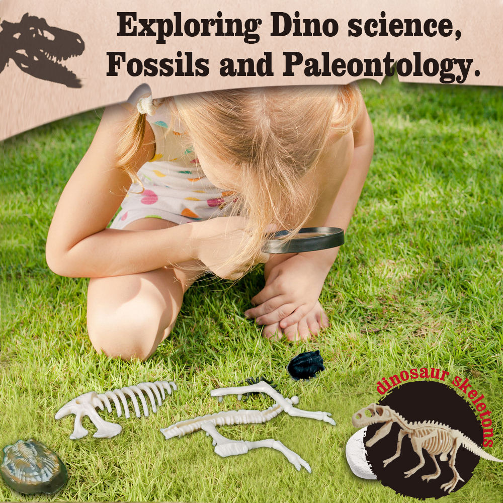 STEM Big Bang Science Exploring Prehistoric Life Dinosaur Fossil Excavation Kit for Kids