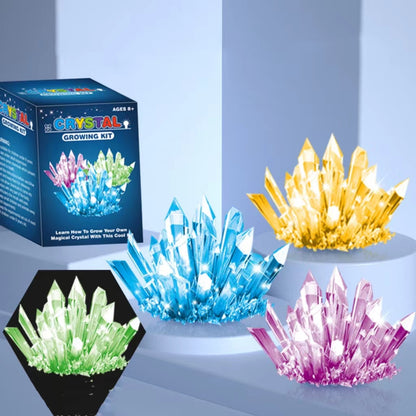 Play N Learn Crystal Growing Kit for Kids | STEM Chemistry Science Activity