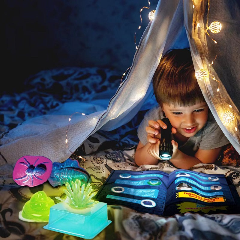 STEAM Science Explore Make Your Own Glow in the Dark Experiments