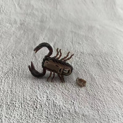 Play N Learn Battery-Operated Moving Scorpion Toy | Fun Playtime Companion for Kids & Pets