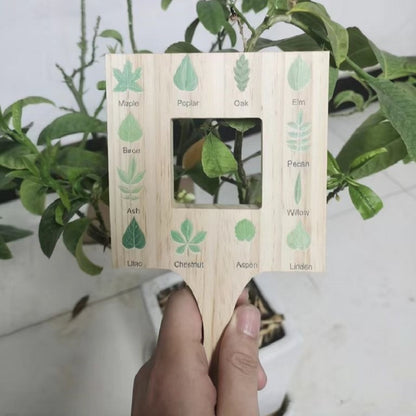 Play N Learn Wooden Leaf & Cloud Finder | Nature Identification Tool for Kids