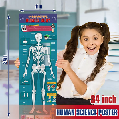 Play N Learn STEAM Interactive Human Body Model | 28-Piece Anatomy Kit