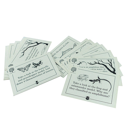 Play N Learn Animal Classification Game | Educational Sorting & Learning Kit