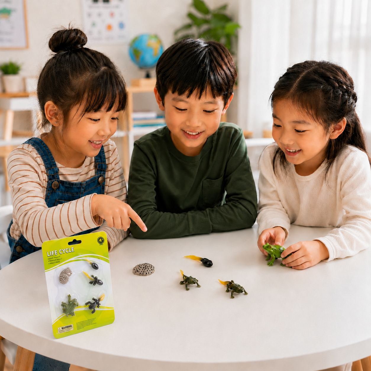 Play N Learn Life Cycle of Frog Models | Science Teaching Resource