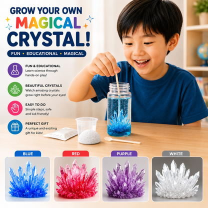 Play N Learn Crystal Growing Kit for Kids | STEM Chemistry Science Activity