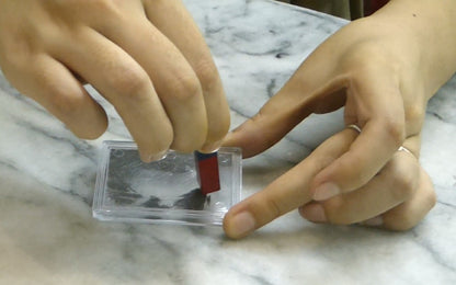Play N Learn STEM Magnets Experiments Kit for Kids | 6 Hands-On Science Activities