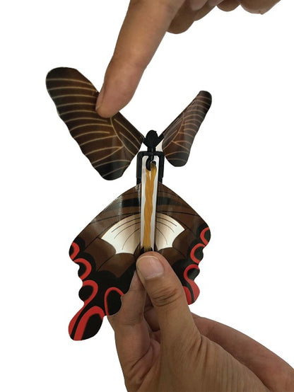 Play N Learn Butterfly Twisty Fly | Science Party Gift, Random Colour