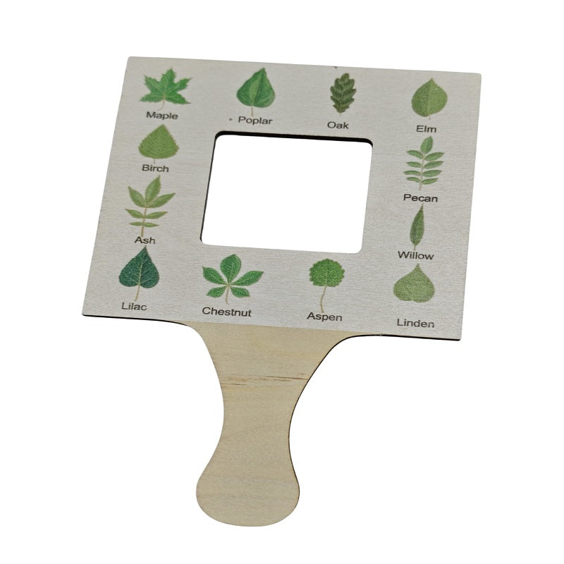 Wooden Leaf Finder to Identify Tree Leaves