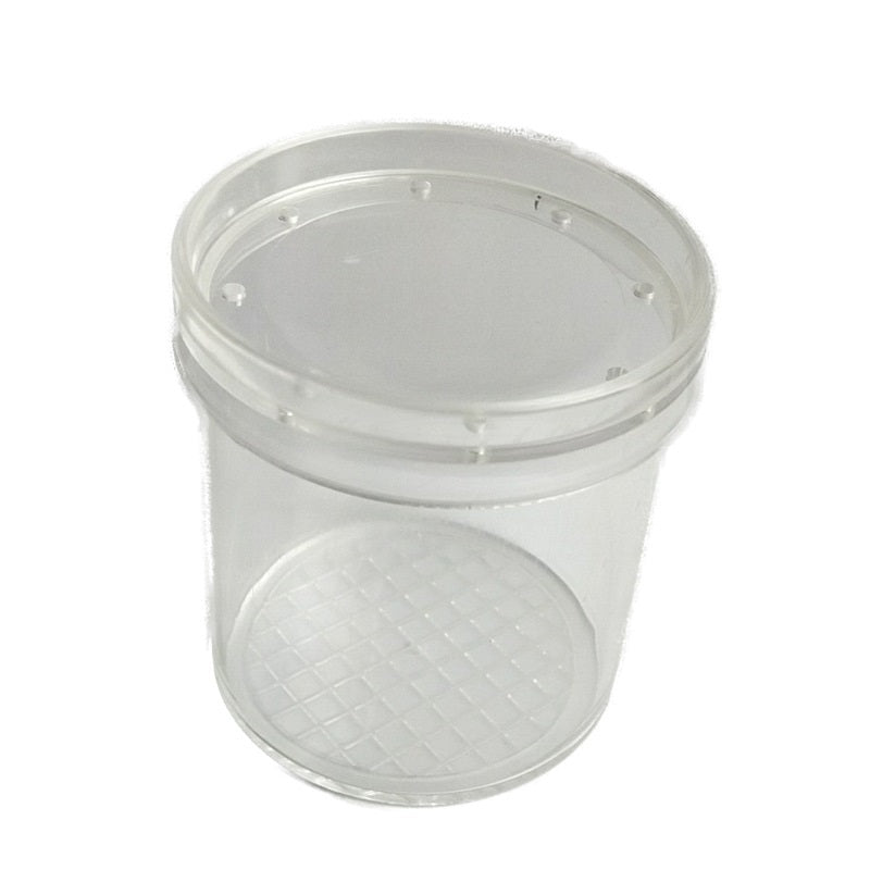 Educational Toy For Kids Magnifying Bug Jar Viewer Play and Learn Party Gift