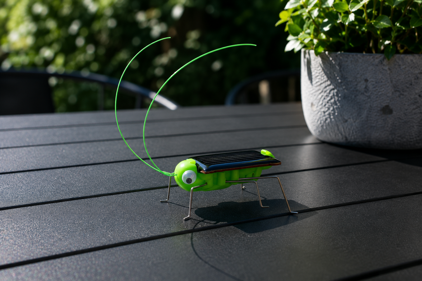 Play N Learn STEM Solar Powered Grasshopper Bug Toy for Kids | Fun Educational Science Toy