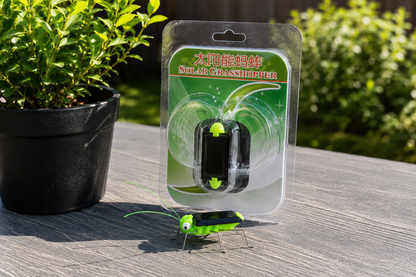 Play N Learn STEM Solar Powered Grasshopper Bug Toy for Kids | Fun Educational Science Toy