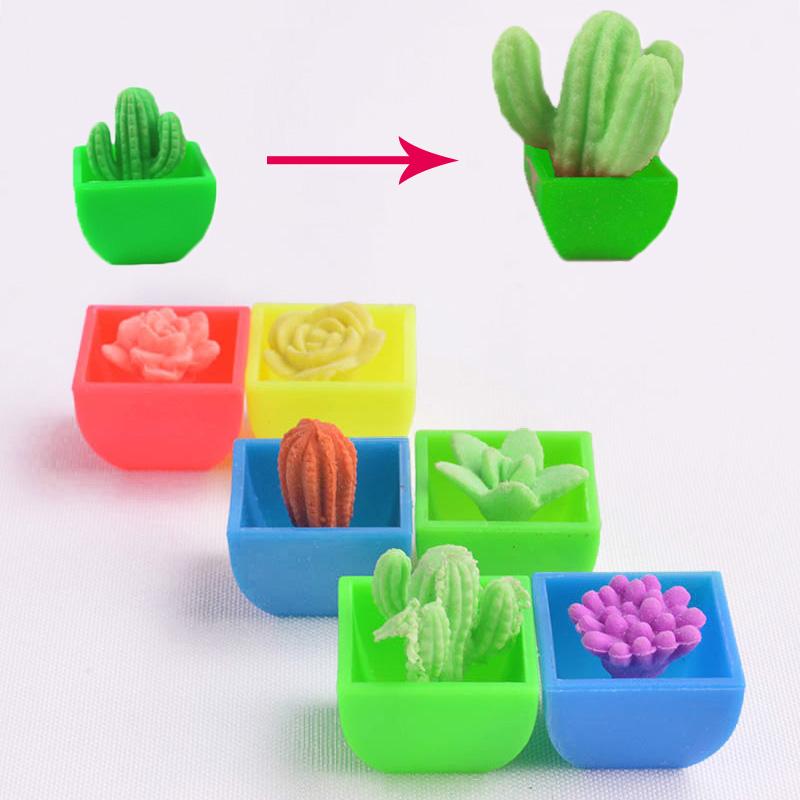 Science Educational Toy For Kids Play N Learn Party Gift Growing Cactus 4 pieces per pack ( Random Colour )