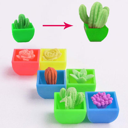 Play N Learn Growing Cactus Science Educational Toy | Party Gift (4 Pieces Per Pack, Random Colours)