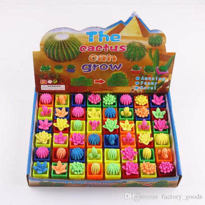 Play N Learn Growing Cactus Science Educational Toy | Party Gift (4 Pieces Per Pack, Random Colours)