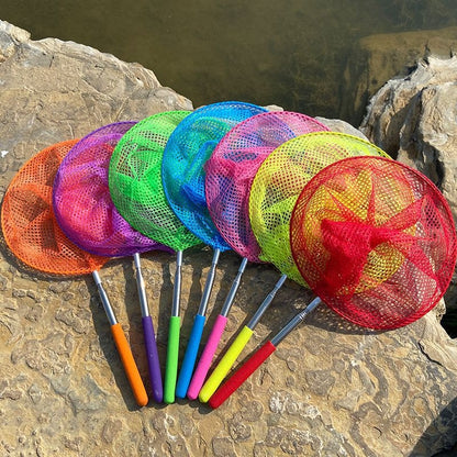 Play N Learn Bug Butterfly Net Insect Catcher with Extendable Handle | Outdoor Nature Explorer (Random Colour)