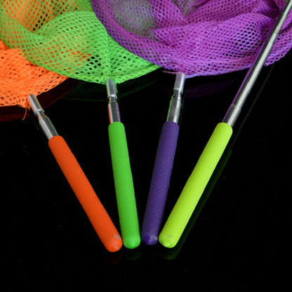 Play N Learn Bug Butterfly Net Insect Catcher with Extendable Handle | Outdoor Nature Explorer (Random Colour)