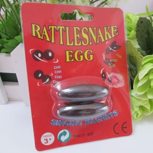Science Educational Toy For Kids Play N Learn Party Gift Magnetic Rattler