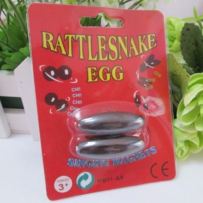 Play N Learn Magnetic Rattler | Science Party Gift Toy (2 Pieces)