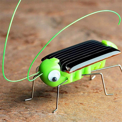 Play N Learn STEM Solar Powered Grasshopper Bug Toy for Kids | Fun Educational Science Toy