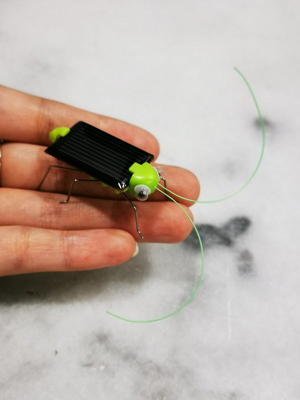Solar Powered Grasshopper Bug Toy for Kids