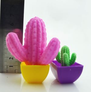 Play N Learn Growing Cactus Science Educational Toy | Party Gift (4 Pieces Per Pack, Random Colours)