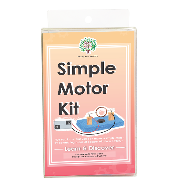 STEM Learn & Discover Play N Learn Simple Motor Kit