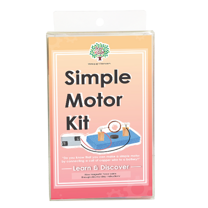 Play N Learn Simple Motor Kit | STEM Magnetism & Electricity Science Experiment