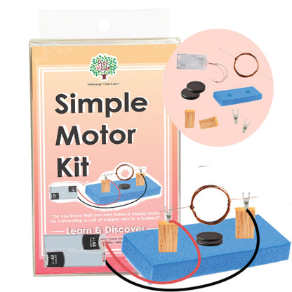 Play N Learn Simple Motor Kit | STEM Magnetism & Electricity Science Experiment