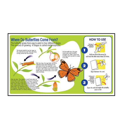 Play N Learn Butterfly Twisty Fly | Science Party Gift, Random Colour